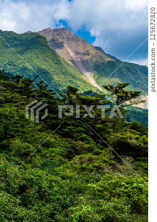 仁田嶺新綠，眺望平成新山 [長崎縣雲仙市] 125672820