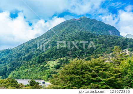 Fresh greenery at Nita Pass [Unzen City, Nagasaki Prefecture] 125672836