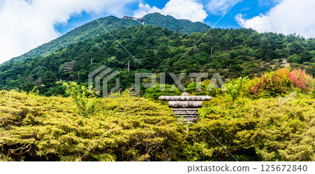 仁田嶺新綠全景[長崎縣雲仙市] 125672840