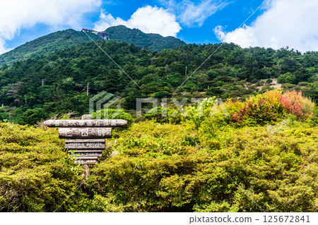 仁田嶺的新綠[長崎縣雲仙市] 125672841