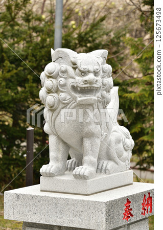 Photographing the grounds of Zenikame Hachiman Shrine in spring in Hakodate, Hokkaido 125673498