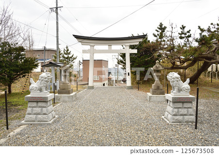 Photographing the grounds of Zenikame Hachiman Shrine in spring in Hakodate, Hokkaido 125673508