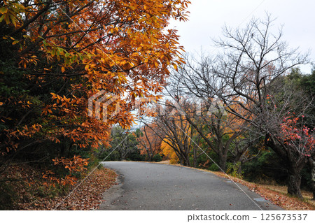 大高綠地公園的紅葉 125673537