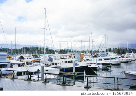 A scene of many cruisers anchored in the ocean off Vancouver under a cloudy sky 125673934