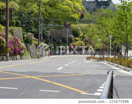 路邊盛開的杜鵑花 125673996