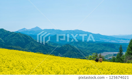 三之倉高原油菜花田:眺望磐梯山 三之倉高原油菜花田:眺望磐梯山 125674021