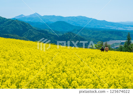 三之倉高原油菜花田：眺望磐梯山 125674022
