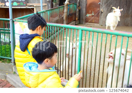 兄弟倆在動物園玩耍 125674042