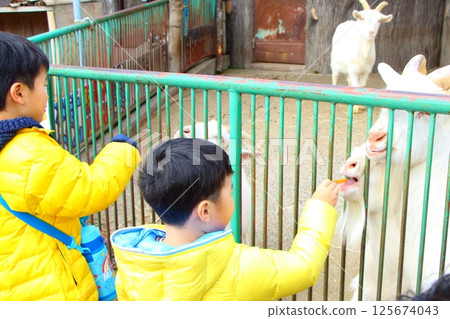Brothers playing at the zoo 125674043