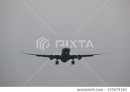 飛機降落 飛機降落 125674162