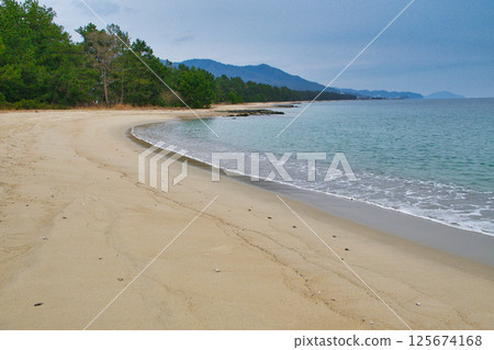 Amanohashidate: Beautiful white sand and green pines (Miyazu City, Kyoto Prefecture) 125674168