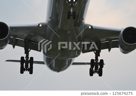 landing gear 125674275