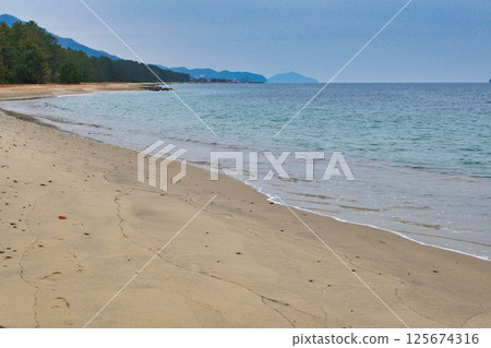 Amanohashidate: Beautiful white sand and green pines (Miyazu City, Kyoto Prefecture) 125674316