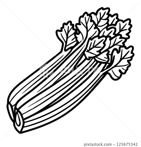 celery illustration black and white drawing, healthy food, vegetable, nutrition, diet concept, AI Generative 125675342