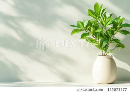 Minimalistic interior design featuring a vibrant green plant in a simple white vase with sunlit shadow play on a neutral wall, AI Generative 125675377