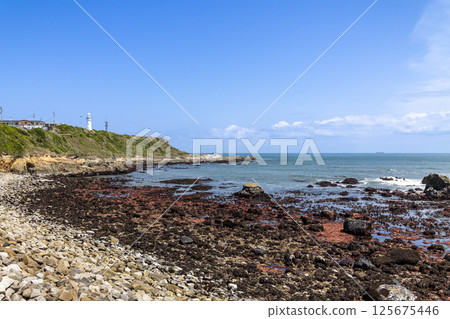 Inubosaki Lighthouse and the sea in Choshi City, Chiba Prefecture Inubosaki Lighthouse and the sea in Choshi City, Chiba Prefecture 125675446
