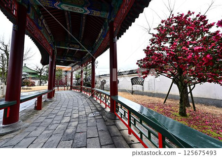延営園景觀 延営園景觀 125675493