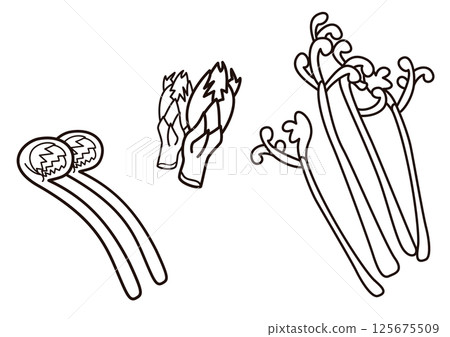 Yamana line drawing Yamana line drawing 125675509