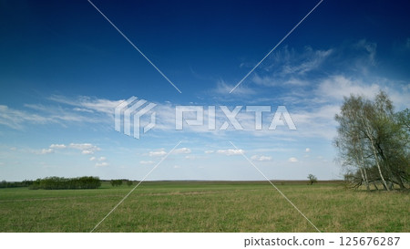 A Serene Landscape Featuring a Clear Blue Sky Complemented by Gentle Green Fields all Around A Serene Landscape Featuring a Clear Blue Sky Complemented by Gentle Green Fields all Around 125676287