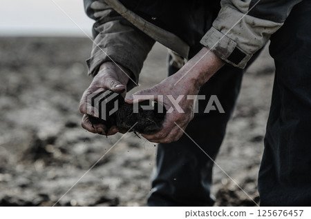 The strong hands of a laborer hold the earth tightly. The hands are covered in dirt, marked by time and hardship. The strong hands of a laborer hold the earth tightly. The hands are covered in dirt, marked by time and hardship. 125676457