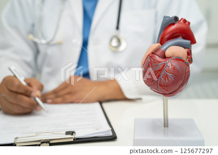 Cardiovascular disease CVD, Asian doctor holding human anatomy model for learn and treat heart disease. 125677297