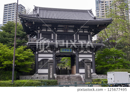 東京愛宕著名的寺廟青松寺山門(東京都港區愛宕) 東京愛宕著名的寺廟青松寺山門(東京都港區愛宕) 125677495