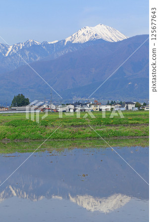 春季安zu野和北阿爾卑斯山 125677643