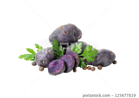 Concept of unusual vegetable - purple potato vegetable, isolated on white background Concept of unusual vegetable - purple potato vegetable, isolated on white background 125677819