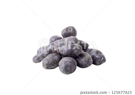 Concept of unusual vegetable - purple potato vegetable, isolated on white background Concept of unusual vegetable - purple potato vegetable, isolated on white background 125677823