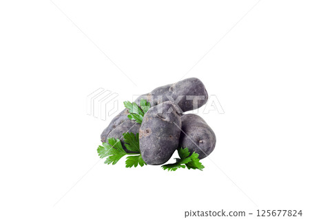 Concept of unusual vegetable - purple potato vegetable, isolated on white background Concept of unusual vegetable - purple potato vegetable, isolated on white background 125677824