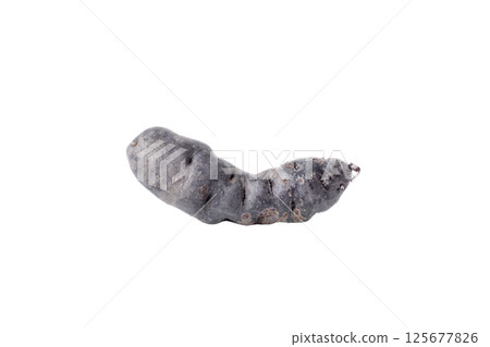 Concept of unusual vegetable - purple potato vegetable, isolated on white background 125677826