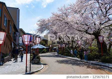 Kon'yazaka, which connects Kenrokuen and Kanazawa Castle Park | Cherry blossoms in full bloom | Spring sightseeing in Kanazawa | Kanazawa City, Ishikawa Prefecture Kon'yazaka, which connects Kenrokuen and Kanazawa Castle Park | Cherry blossoms in full bloom | Spring sightseeing in Kanazawa | Kanazawa City, Ishikawa Prefecture 125678171