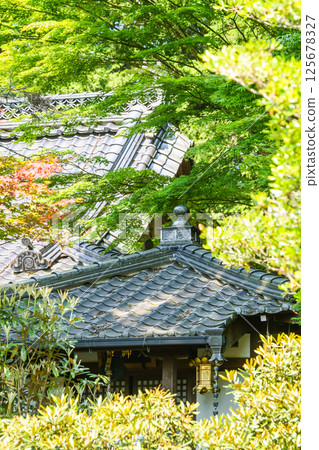 The roof tiles of this temple stand out even more amidst the shining greenery of the new season. "Hana no Yamadera/Fumonji Temple" in Maniwa City, Okayama Prefecture 125678327