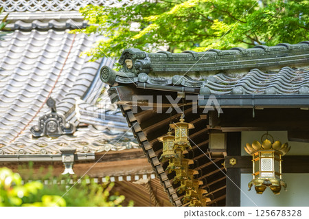 A golden lantern stands out among the shining greenery of the new year at this temple. Fumonji Temple, Maniwa City, Okayama Prefecture A golden lantern stands out among the shining greenery of the new year at this temple. Fumonji Temple, Maniwa City, Okayama Prefecture 125678328