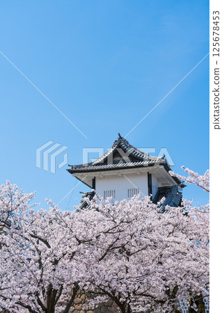 Clear blue sky, cherry blossoms in full bloom, and Ishikawa Gate of Kanazawa Castle Park | Kenrokuen Garden, Kanazawa Castle Ishikawa Gate | Kanazawa Tourism Information | Kanazawa City, Ishikawa Prefecture Clear blue sky, cherry blossoms in full bloom, and Ishikawa Gate of Kanazawa Castle Park | Kenrokuen Garden, Kanazawa Castle Ishikawa Gate | Kanazawa Tourism Information | Kanazawa City, Ishikawa Prefecture 125678453