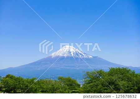 晴朗的日子裡從山頂俯瞰白雪皚皚的富士山 125678632