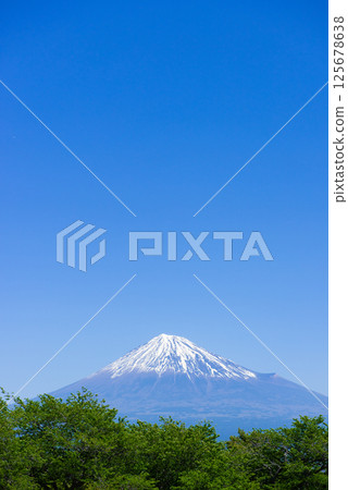 晴朗的日子裡從山頂俯瞰白雪皚皚的富士山 125678638