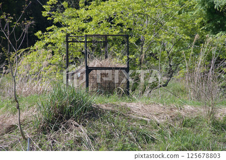 A box trap covered in grass A box trap covered in grass 125678803