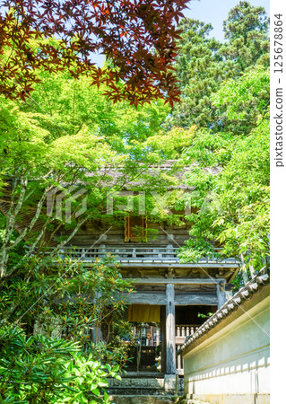 A magnificent mountain gate stands tall amidst the shining greenery of spring. "Hana no Yamadera/Fumonji Temple" in Maniwa City, Okayama Prefecture A magnificent mountain gate stands tall amidst the shining greenery of spring. "Hana no Yamadera/Fumonji Temple" in Maniwa City, Okayama Prefecture 125678864
