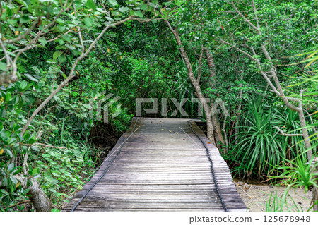 石垣島紅樹林中一條安靜的木板路 125678948
