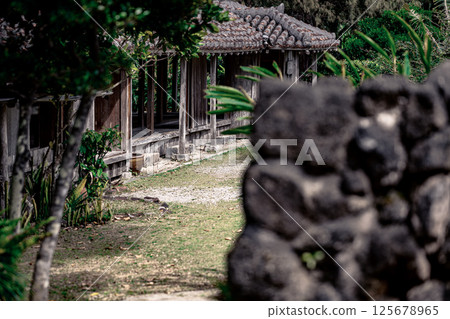 石垣島歷史悠久的房屋和花園小徑 - 石牆景觀 石垣島歷史悠久的房屋和花園小徑 - 石牆景觀 125678965