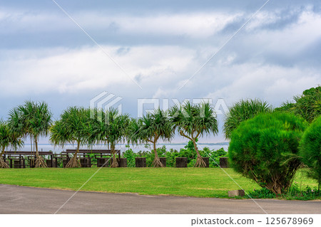 Park scenery on Ishigaki Island with a resort feel Park scenery on Ishigaki Island with a resort feel 125678969
