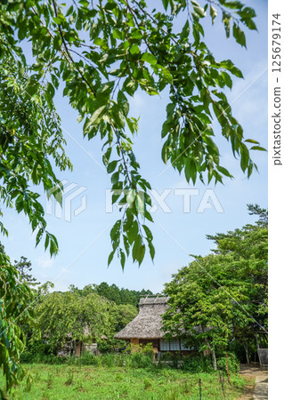 A thatched roof building covered in fresh greenery. A pristine Japanese landscape. "Hana no Yamadera/Fumonji Temple" in Maniwa City, Okayama Prefecture 125679174