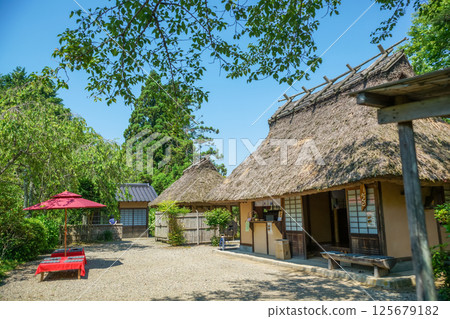A thatched roof building covered in fresh greenery. A pristine Japanese landscape. "Hana no Yamadera/Fumonji Temple" in Maniwa City, Okayama Prefecture 125679182