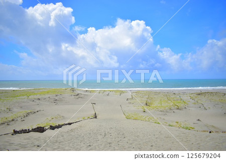 Sand dunes leading to the sea 125679204