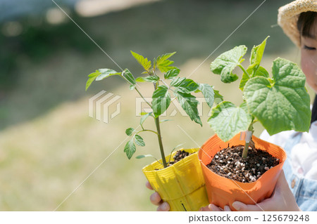 Girl holding vegetable seedlings 125679248