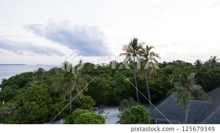 A house hidden in the greenery of the island A house hidden in the greenery of the island 125679349