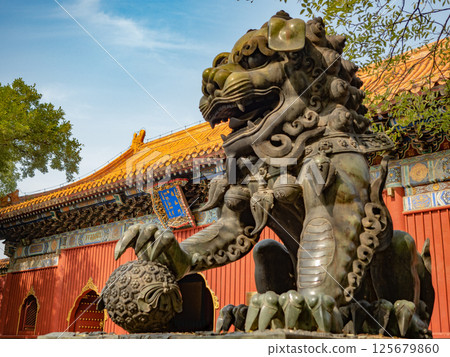 北京雍和宮,雍和門入口處的石獅 北京雍和宮,雍和門入口處的石獅 125679860