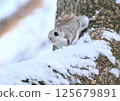 Ezomomonga: Hokkaido's Three Cutest Animals 125679891