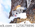 Ezomomonga: Hokkaido's Three Cutest Animals 125679896